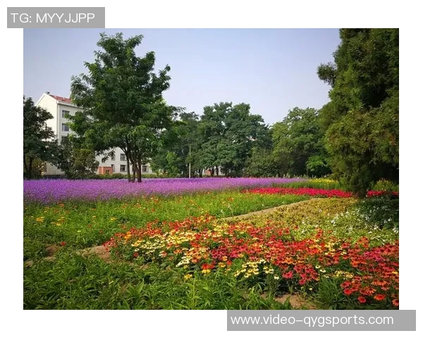 足球骑士奈奈的传奇之路与梦想追逐的青春故事